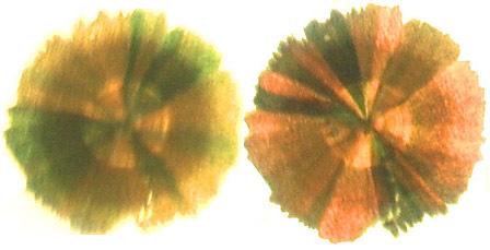 goethite inclusion in quartz