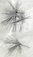 hollandite inclusions dans quartz