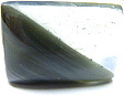asbeste amphibole inclusions dans quartz