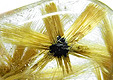 inclusions in quartz � inclusions
