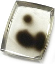 Quartz dalmatien fum� partiellement