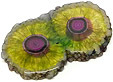 quartz solaire teint�