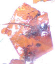 inclusion h�matite dans quartz