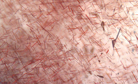 cinabre cinabar inclusions dans quartz