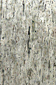 inclusions minerales dans scapolite