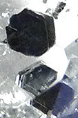 inclusions noires dans la topaze