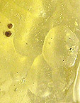 bulles dans verre libyque