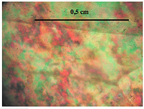 vesuvianite idocrase extinction anormale