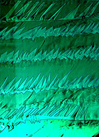 structure en dents de scie emeraude synthetique hydrothermale